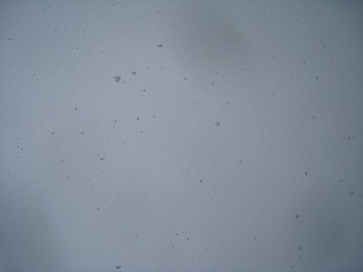 a0038882_9424216.jpg