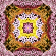 c0216787_1142275.jpg