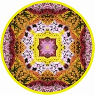 c0216787_11553245.jpg