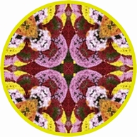 c0216787_11572542.jpg