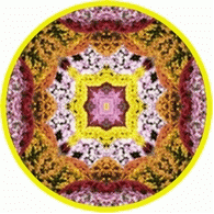 c0216787_12385579.gif