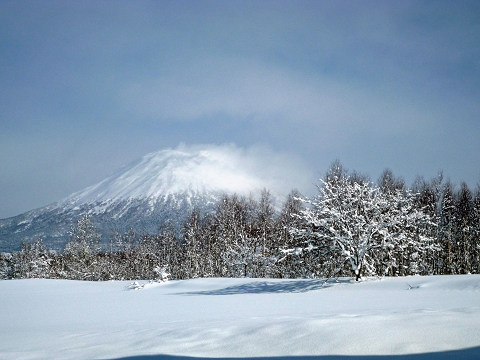 c0215091_19451449.jpg