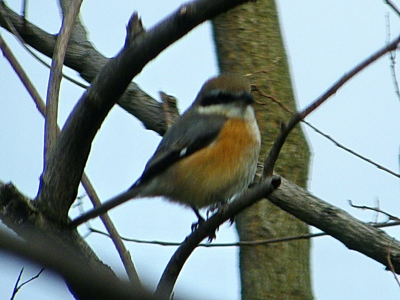 f0204094_10244669.jpg