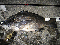 e0147297_222316100.jpg