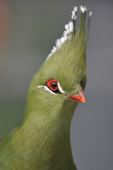 鳥と遊ぶ_b0016600_23205321.jpg