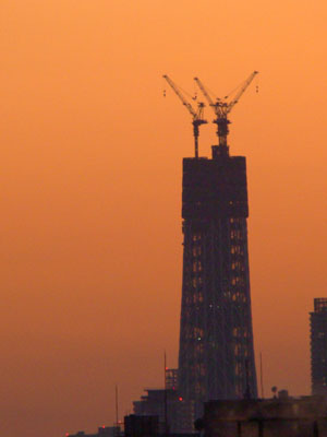 f0185403_18455986.jpg