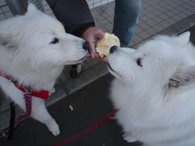 買い物。。。　　2月9日　[火]_e0018604_8413478.jpg