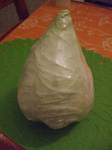 e0149604_255515.jpg
