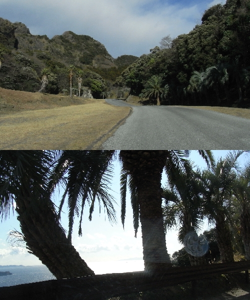 f0006510_21222944.jpg