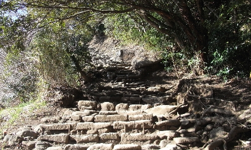 f0006510_21252585.jpg