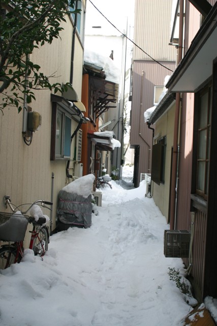 新潟の大雪_d0039111_12454448.jpg