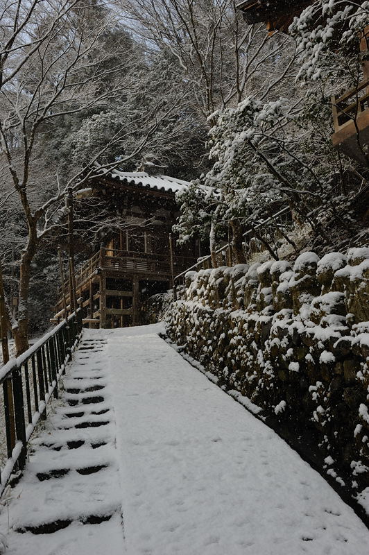 思いがけず雪景色 愛宕念仏寺&北嵯峨編_f0032011_1856086.jpg