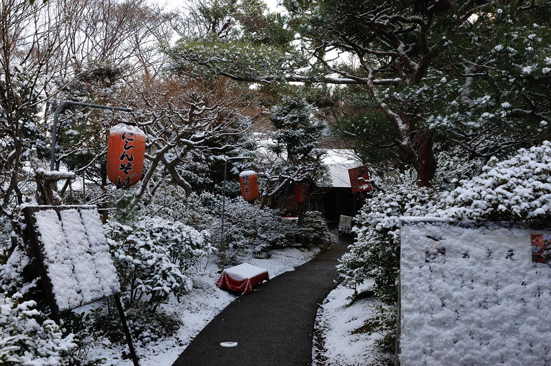 思いがけず雪景色 愛宕念仏寺&北嵯峨編_f0032011_18564269.jpg