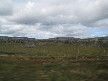 f0135018_20494512.jpg