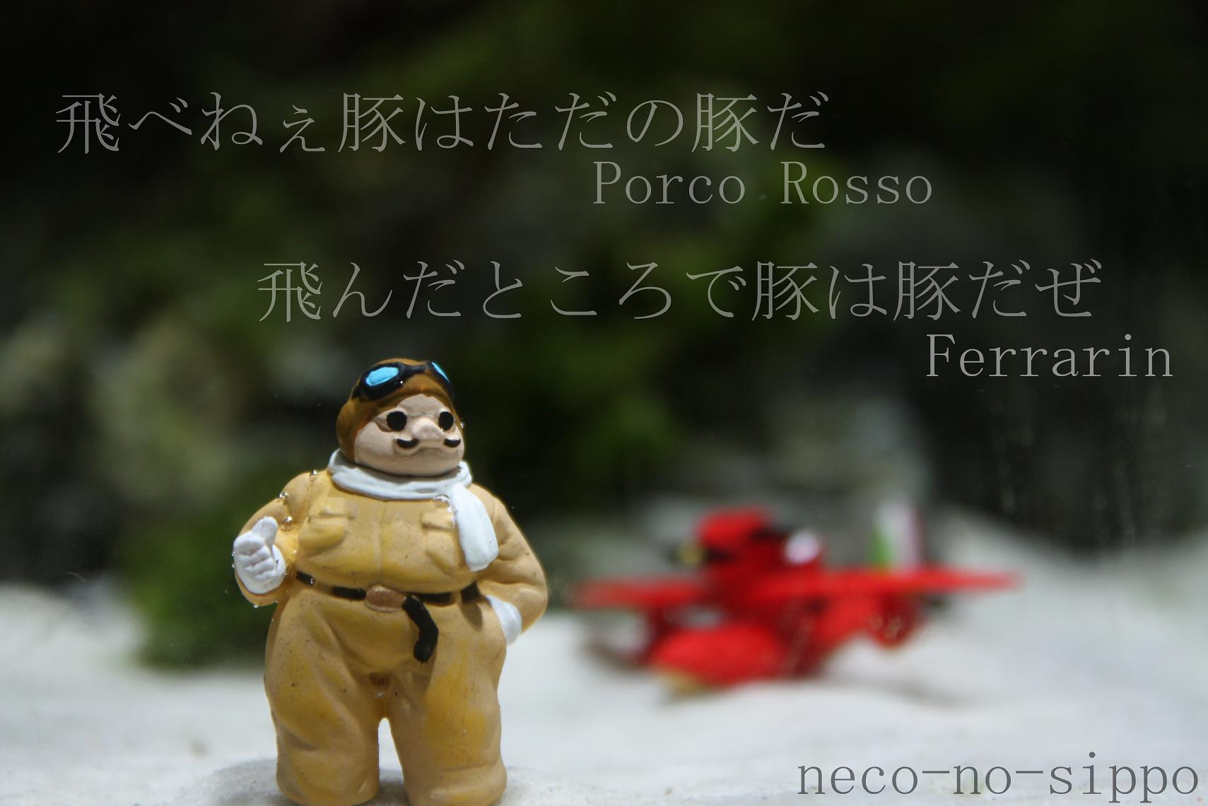 飛べねぇ豚はただの豚だ ロードバイク始めます アクアリウムおやすみ中