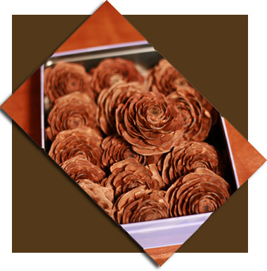 手の込んだ 薔薇のチョコレート♪…(?)_d0133320_162753.jpg