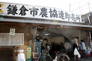 a0034225_1704144.jpg