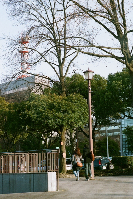 e0137244_1173192.jpg