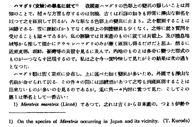 タイワンハマグリとは何なのだろう_e0094349_9374392.jpg