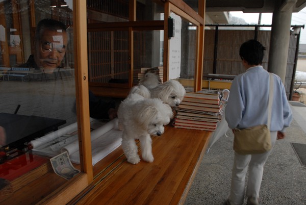 泰山寺・永福寺_d0033551_10563642.jpg