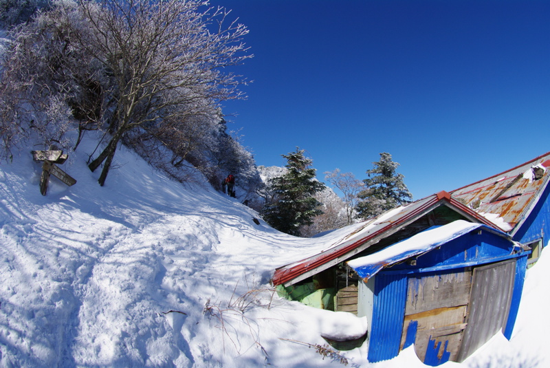 石鎚山その２（夜明峠から弥山まで）_a0009554_1914464.jpg