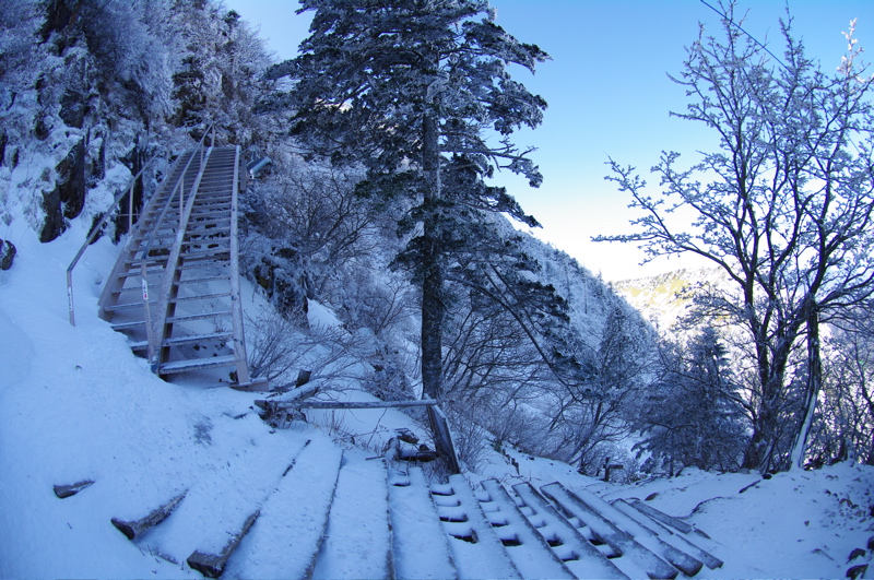 石鎚山その２（夜明峠から弥山まで）_a0009554_19154674.jpg