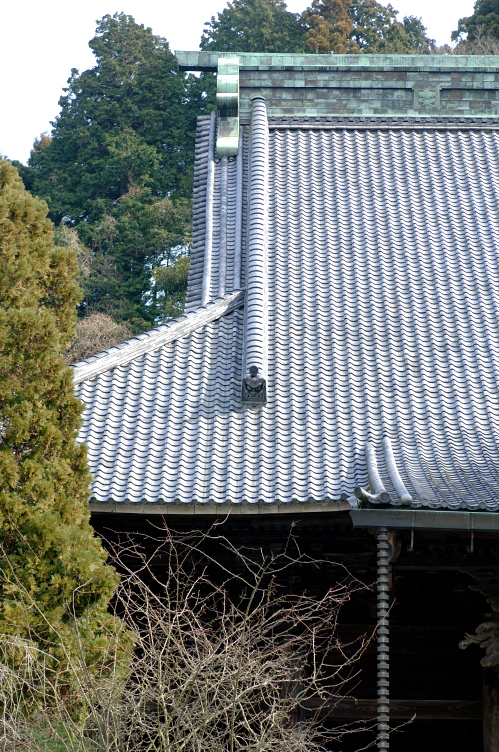 早春の三浦・湘南です_b0130569_151180.jpg