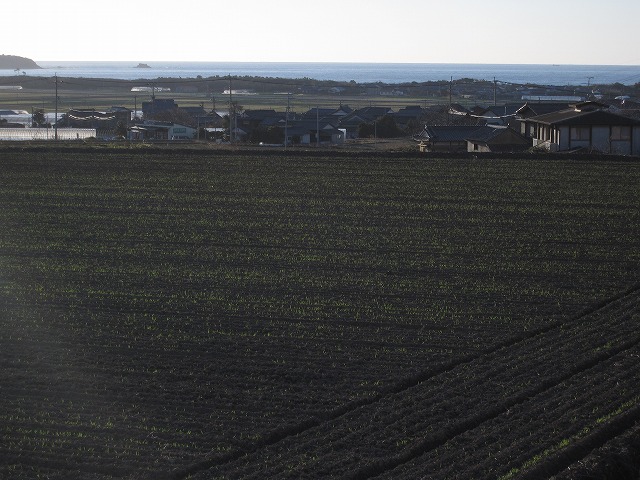 a0158570_185331.jpg