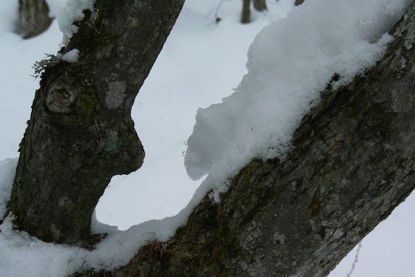b0068572_23513134.jpg