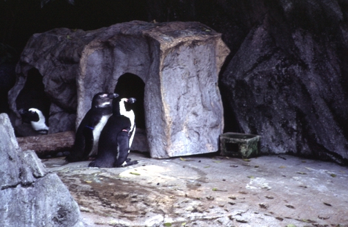 c0124773_22534636.jpg