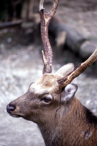 c0124773_22565770.jpg