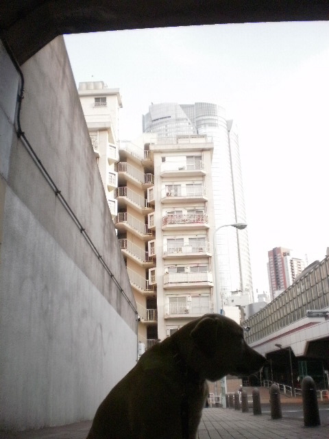 f0052277_1616.jpg