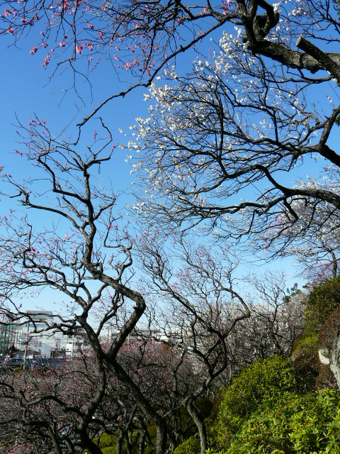 e0145782_17113311.jpg