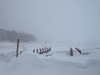 f0171283_84998.jpg