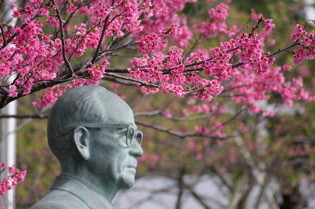 今日の花など（2/9）_b0115085_1537163.jpg