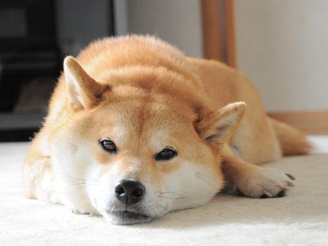 いったりきたり_a0126590_21453086.jpg