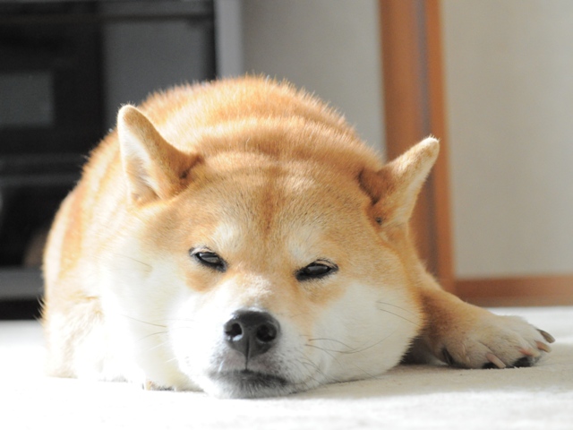 いったりきたり_a0126590_21454072.jpg