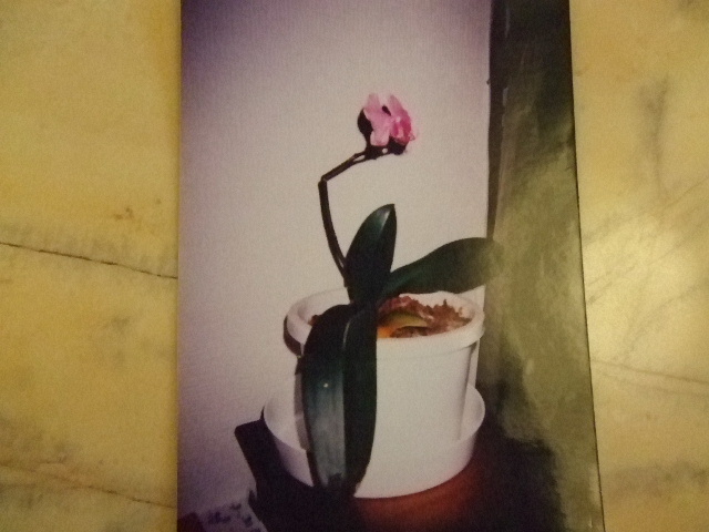 写真をご覧いただきますか。_e0119092_16192172.jpg