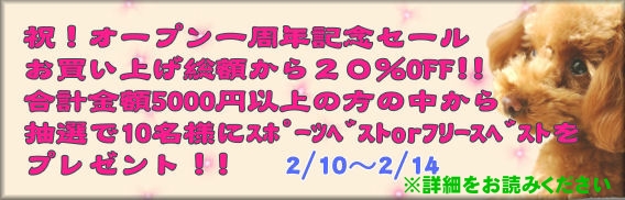 祝！オープン一周年記念セール_c0187594_1881886.jpg