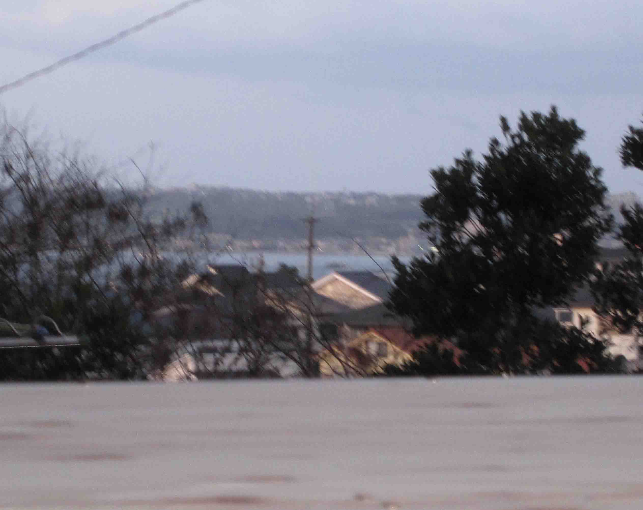 c0128896_8384686.jpg