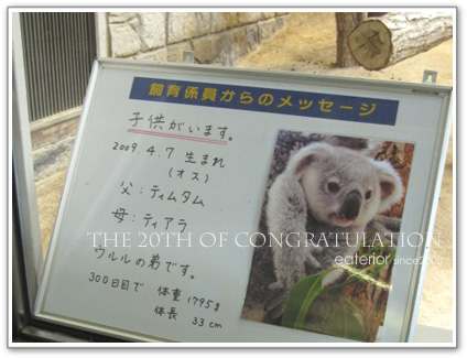 『祝☆20回目』 東山動植物園vol.20_b0142197_9115155.jpg