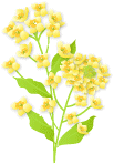 c0204298_8202029.gif