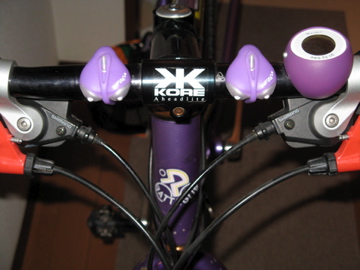 a0117599_0105096.jpg