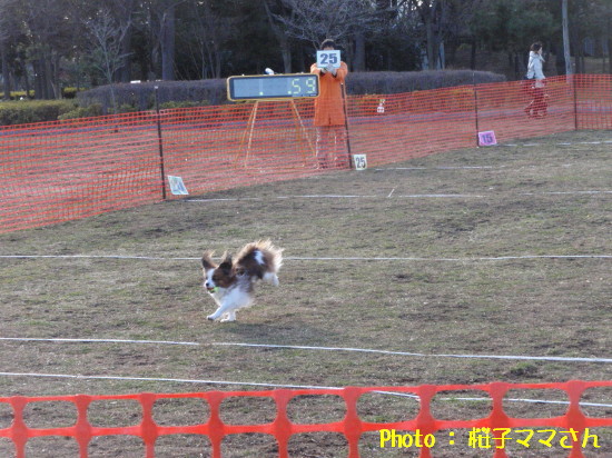 c0044199_11152275.jpg