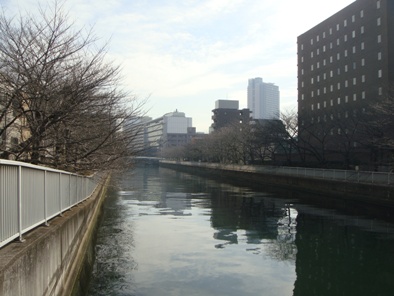 a0167803_943334.jpg