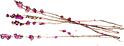 e0186505_1340217.gif