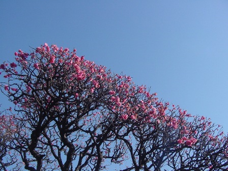 b0026408_0223354.jpg