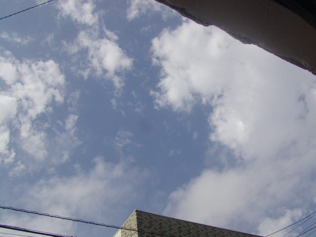 a0116010_15290100.jpg