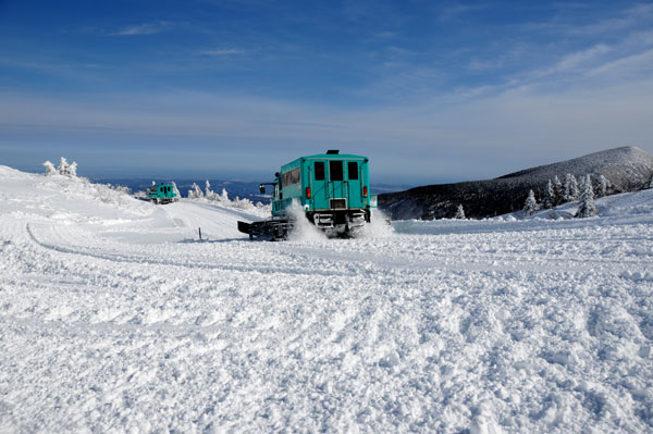 宮城蔵王の樹氷_f0115214_1049389.jpg