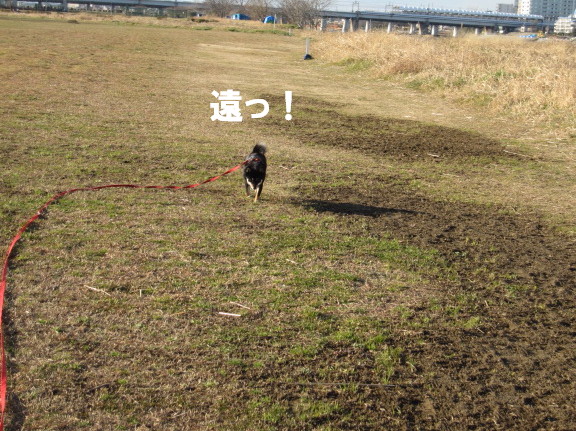 c0185516_12302363.jpg